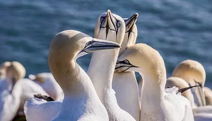 华体会官网-朱婷助球队拿下关键战女排世界杯，朱婷女排吧 朱婷个站