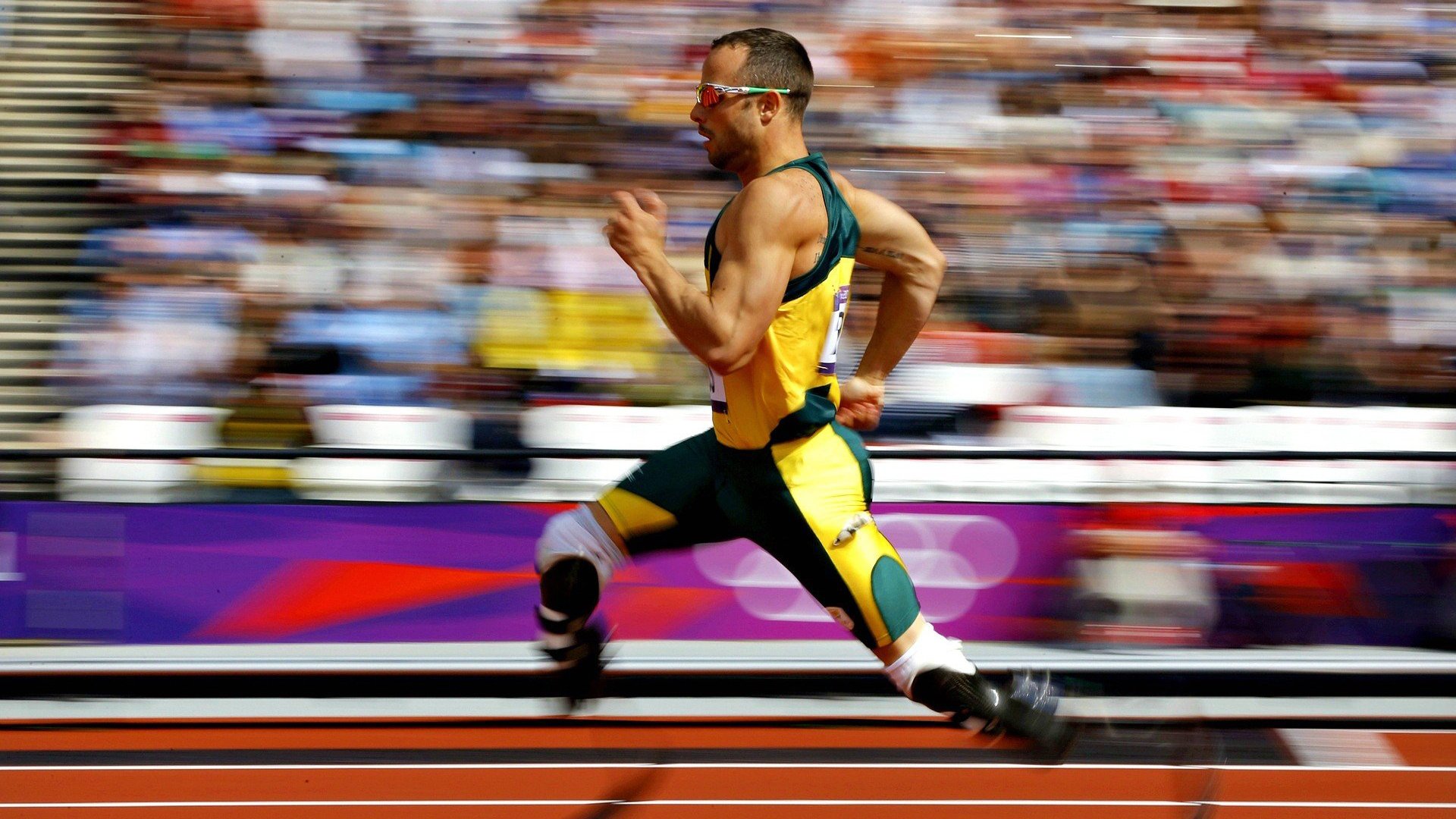 体育新闻中心构建体育新闻多语言发布平台,体育新闻术语