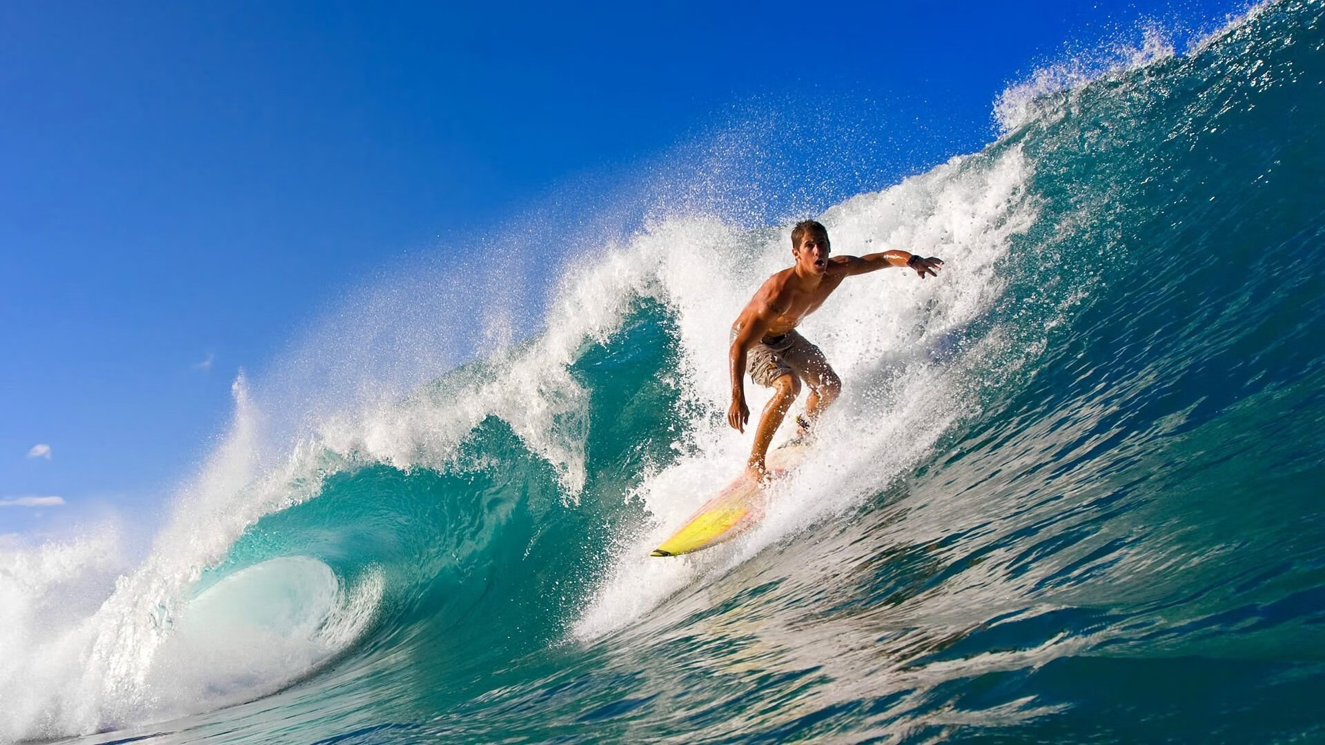 华体会登录-字母哥数据爆表雄鹿球队重返前八，字母哥雄鹿报道视频